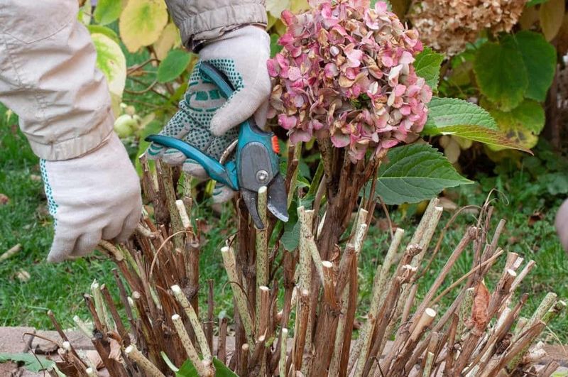 Pruning at the Wrong Time