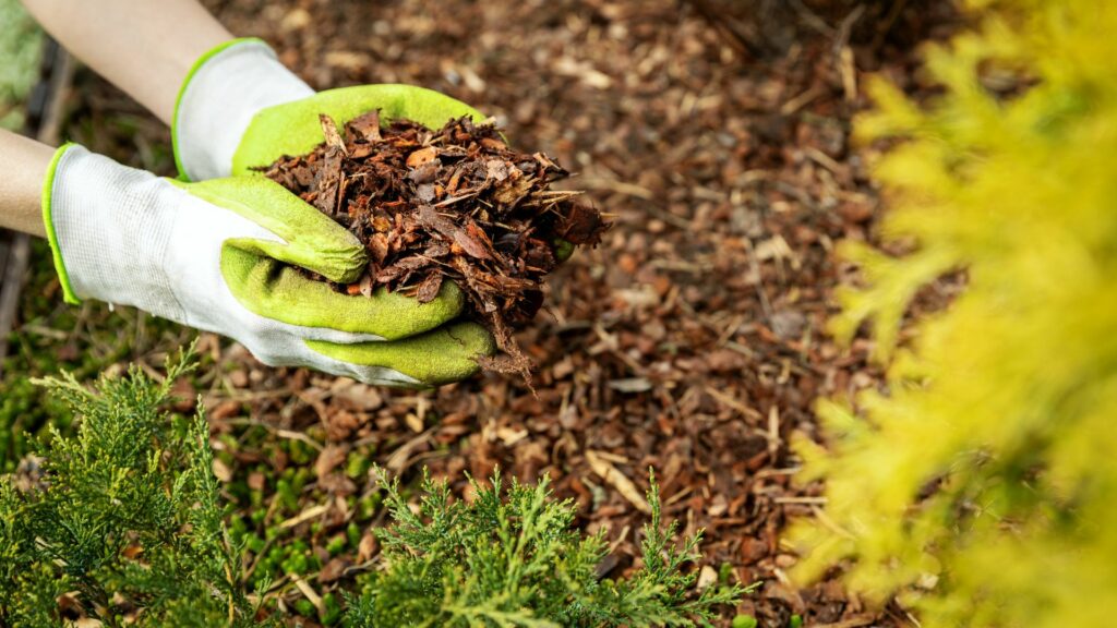 mulch
