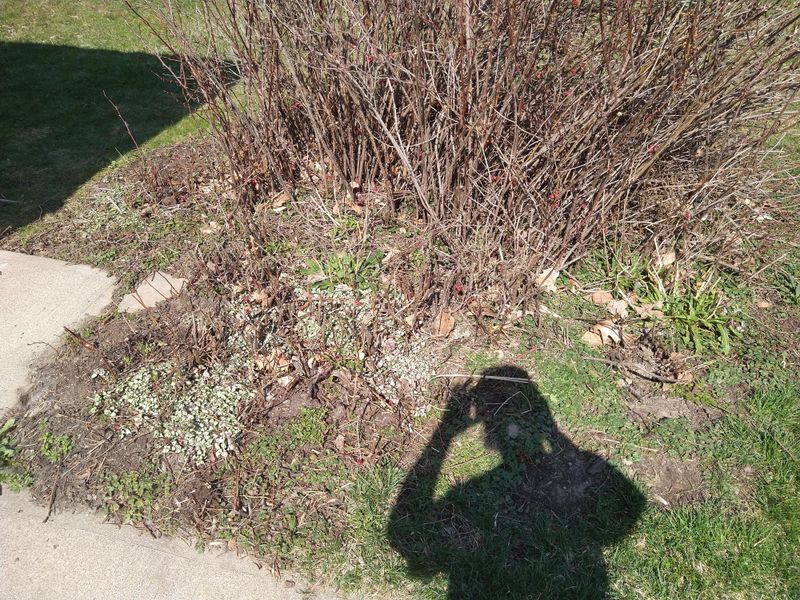 Leverage A Garden Fork