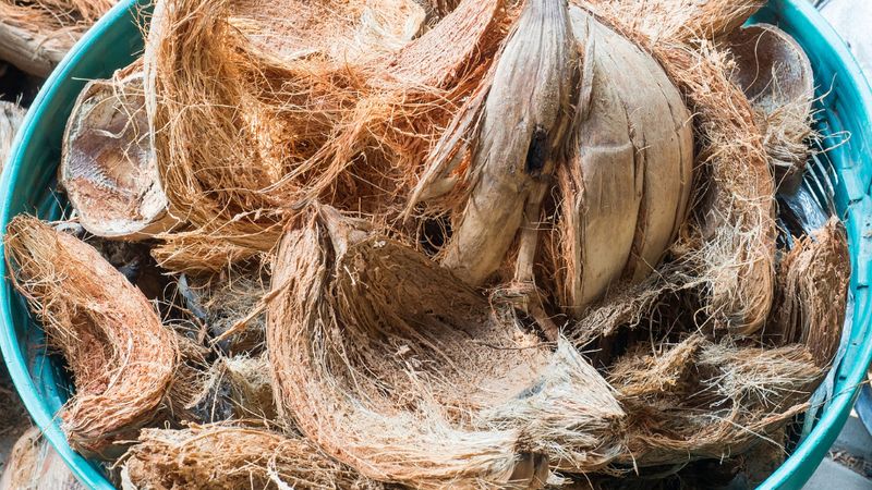 Hydrophobic Coconut Coir Mix