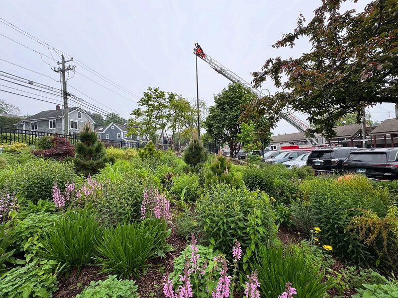 Planting Depth Matters