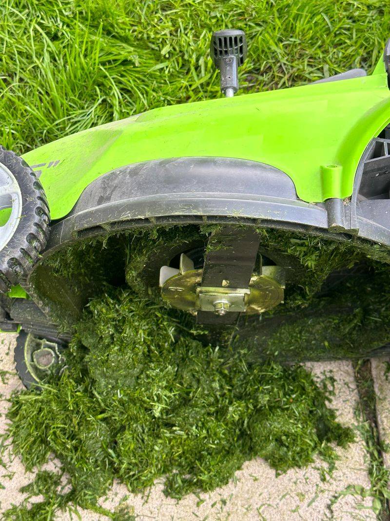 Avoid Mowing Wet Grass