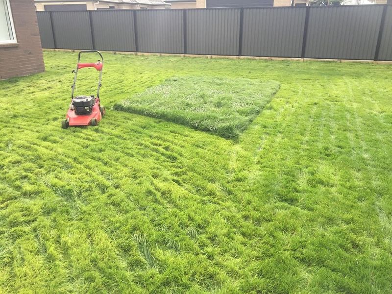 Uneven Cutting Results