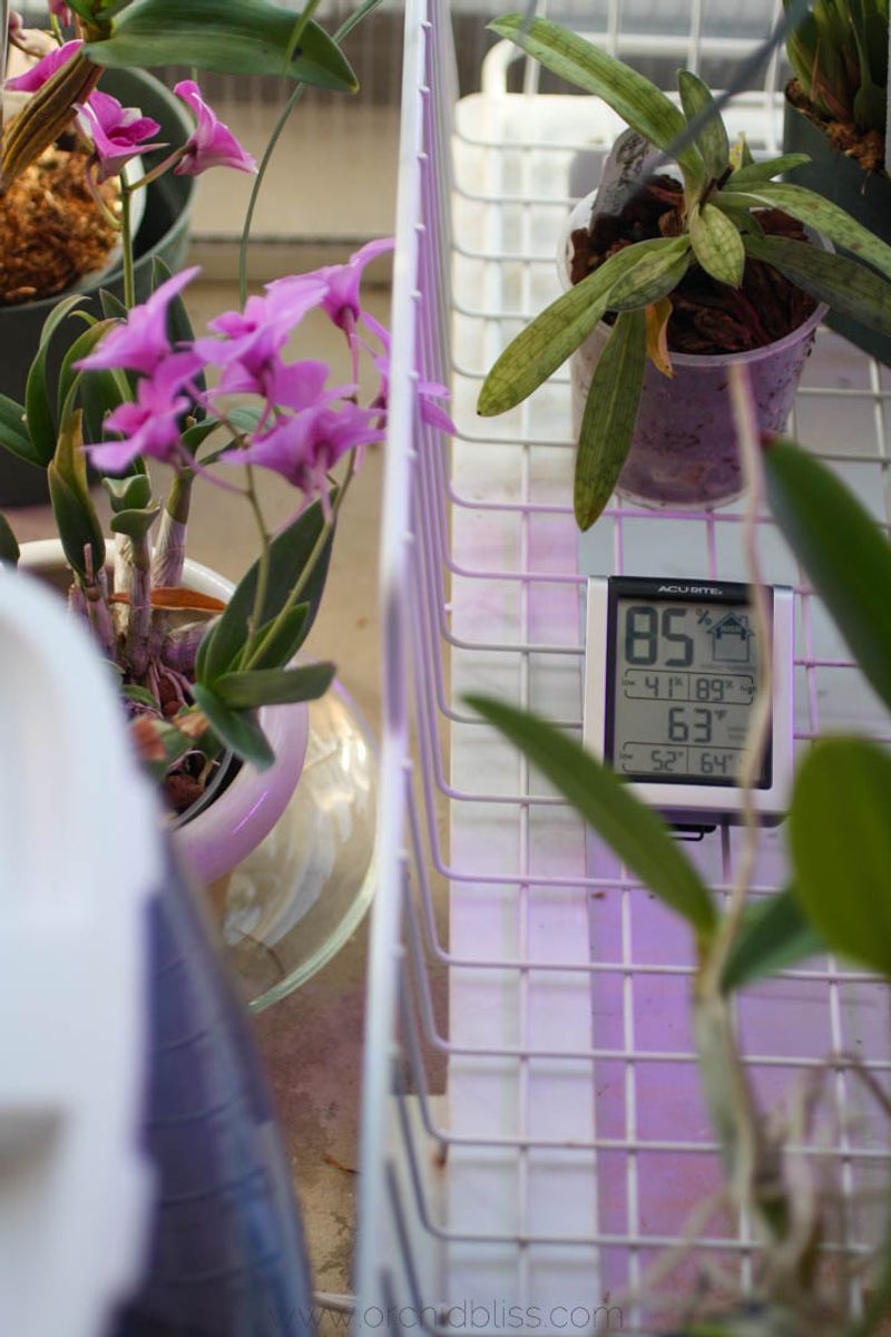 Temperature Fluctuations
