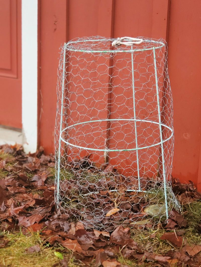 Individual Plant Cages