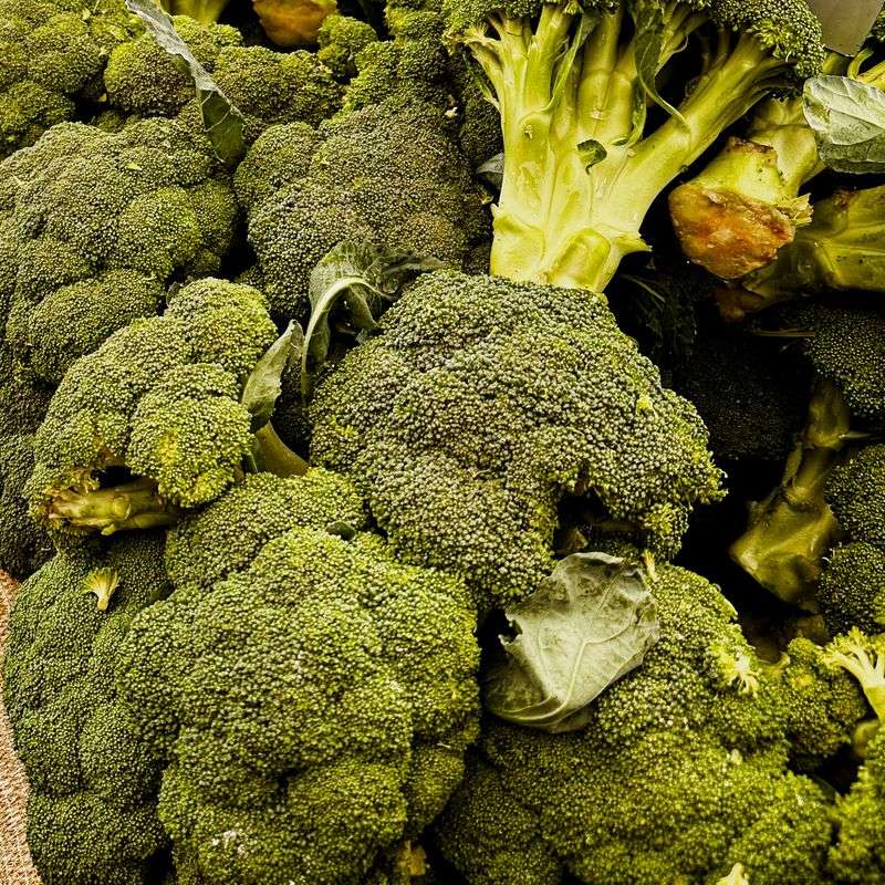 Broccoli