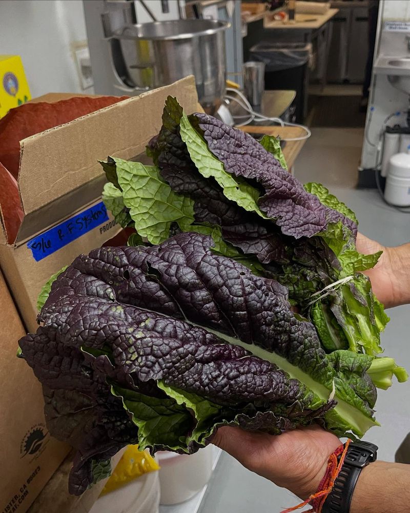 Mustard Greens