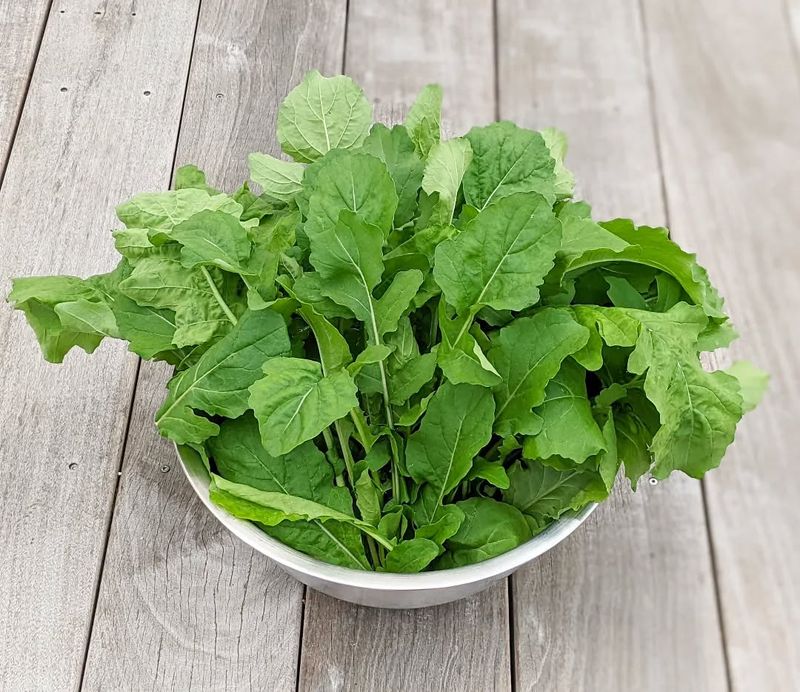 Arugula - Peppery Greens