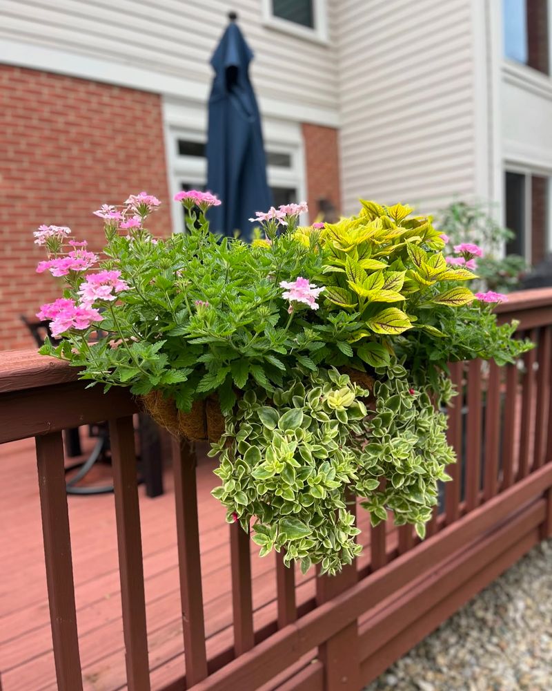 Window Box Extensions