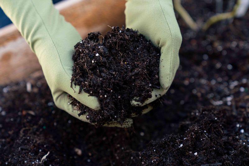 Correct Soil PH Imbalances