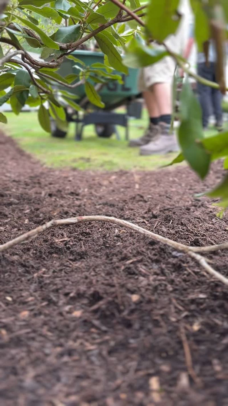 Mulch to Retain Moisture and Support Nutrient Uptake