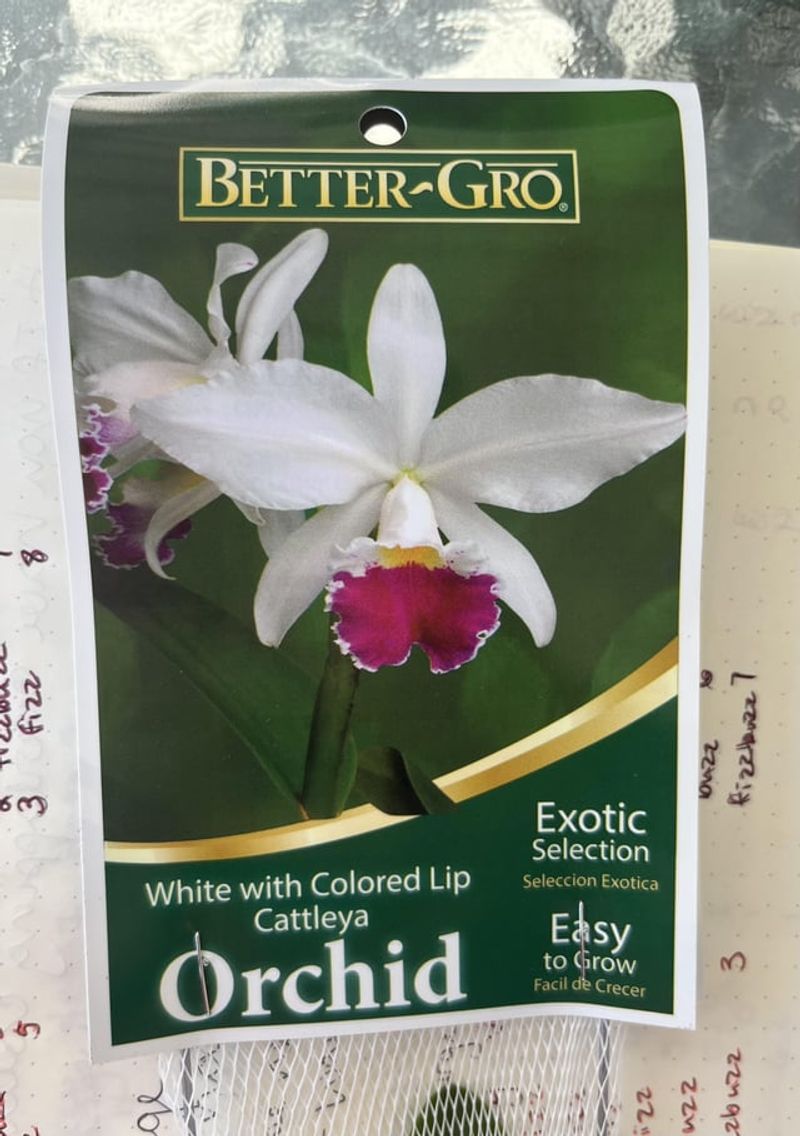 Plant Tag Information Verification