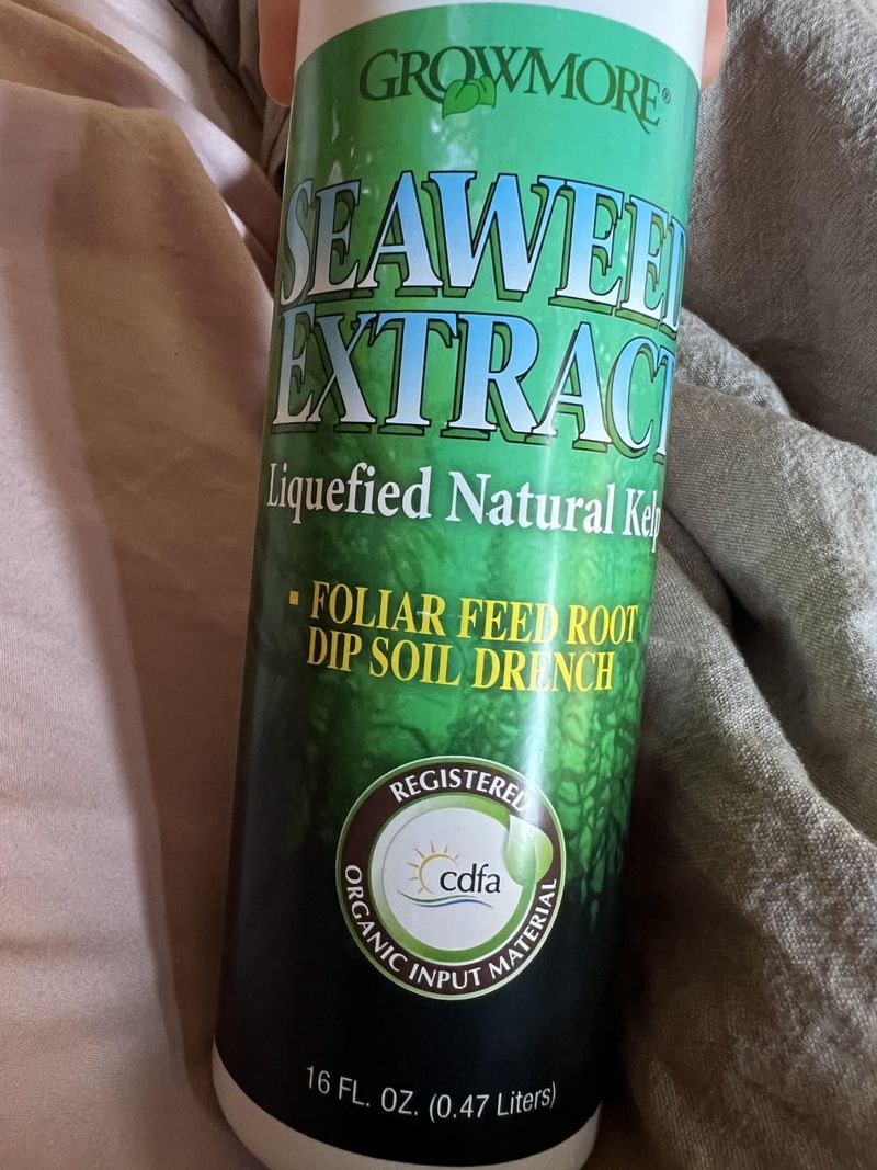 Seaweed Extract Spray
