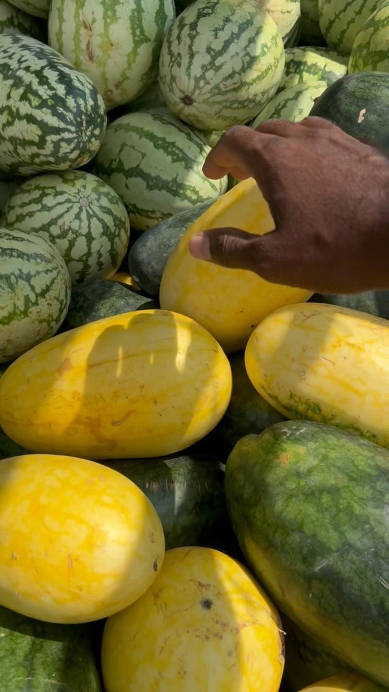 Watermelons