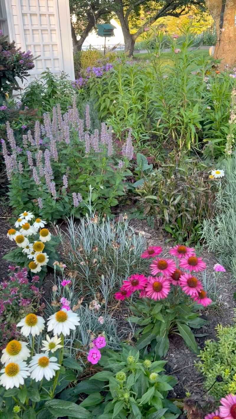 Cottage Garden Grouping