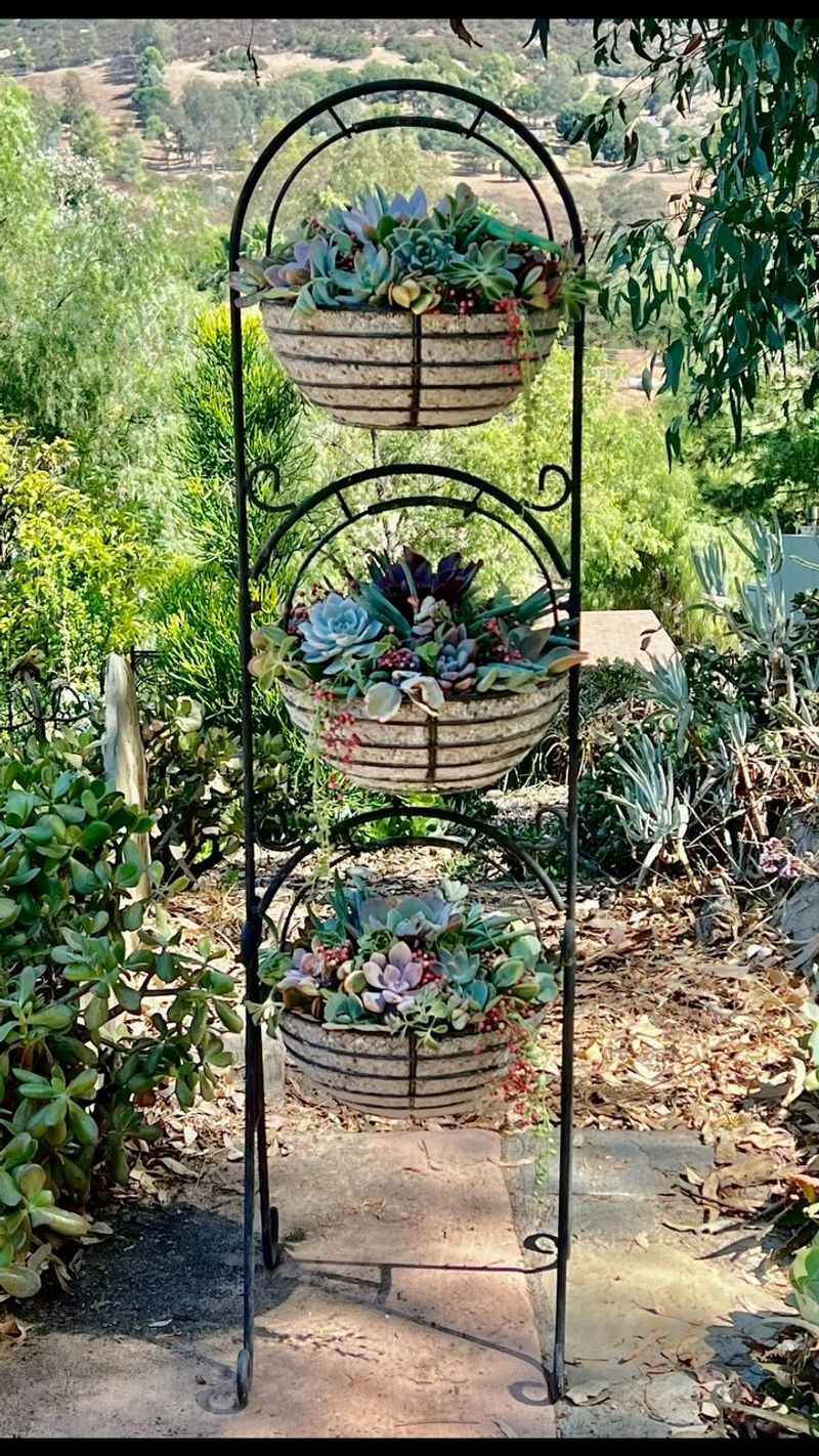 Tiered Cake Stand Gardens