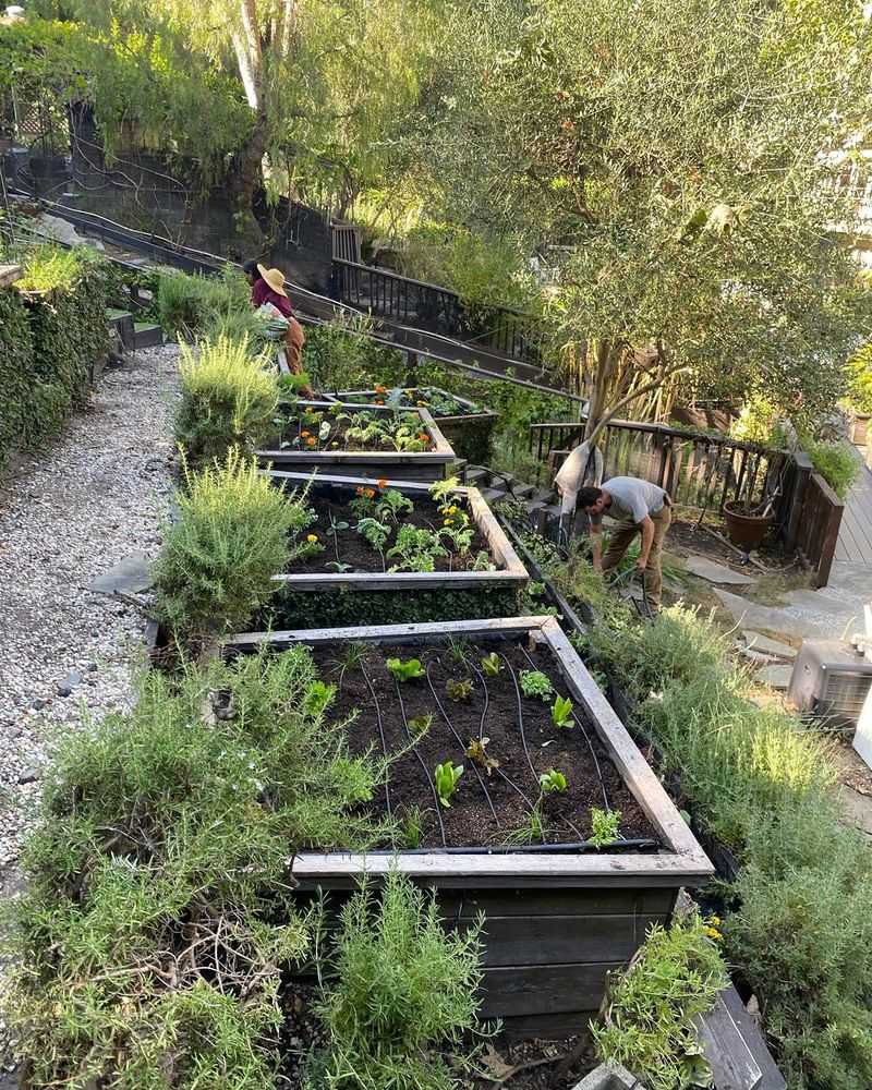 Victory Garden Revival
