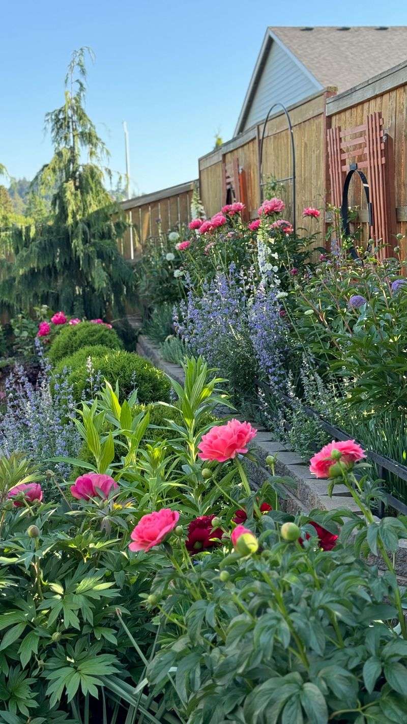 Companion Planting Strategy