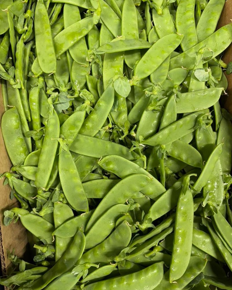 Peas