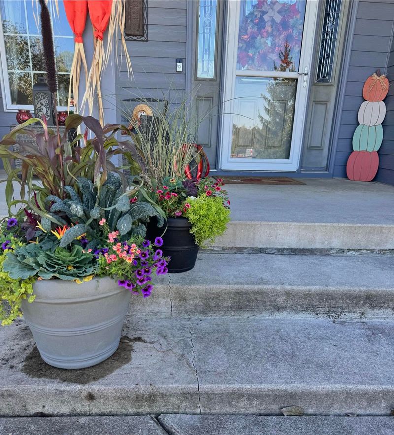 Seasonal Color Rotation