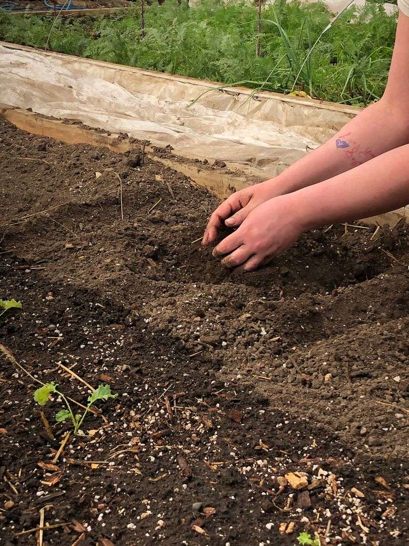 Sterile Soil Mixes