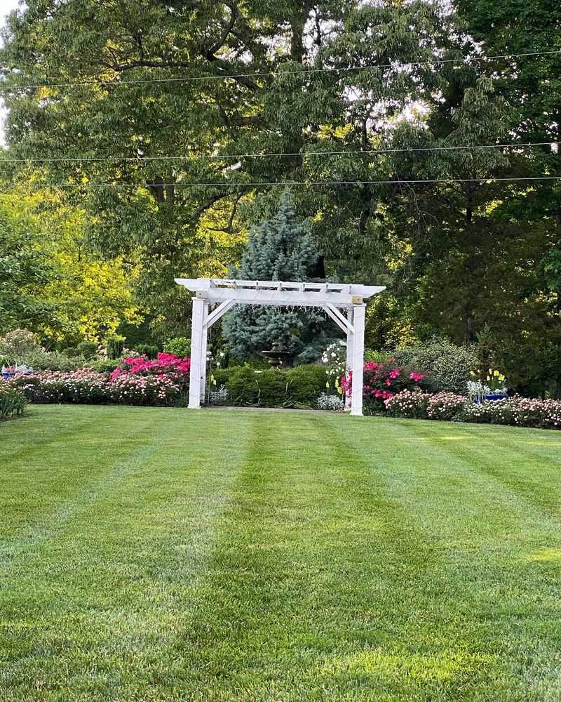 Soil Health Improvement