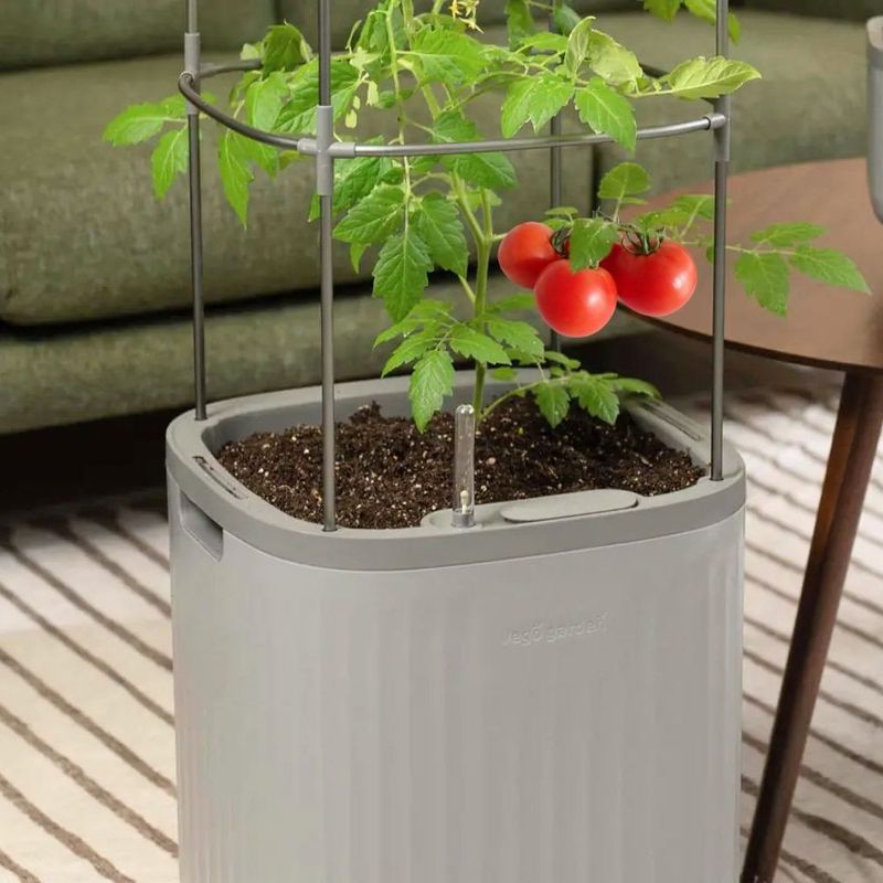 Container growing requires special care
