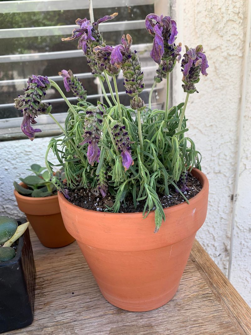 Practice Restraint When Watering