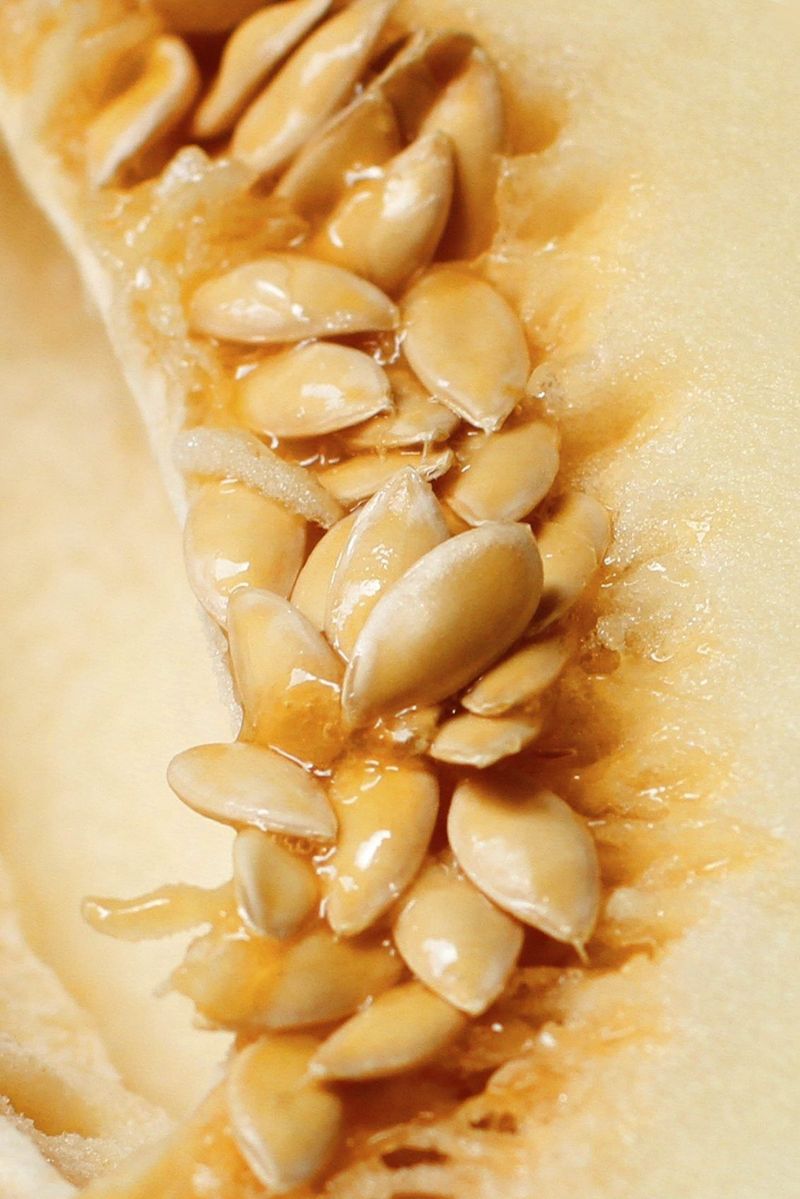 Save Seeds From Your Best Performers
