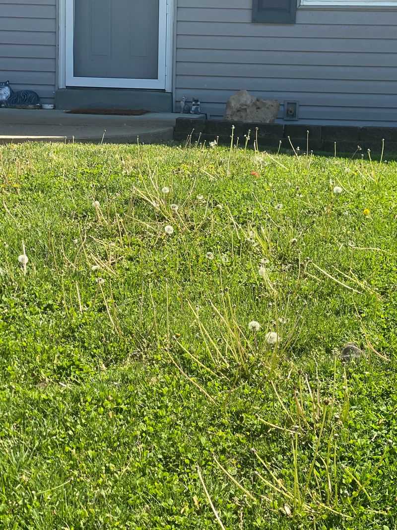 Soil Aeration Needs