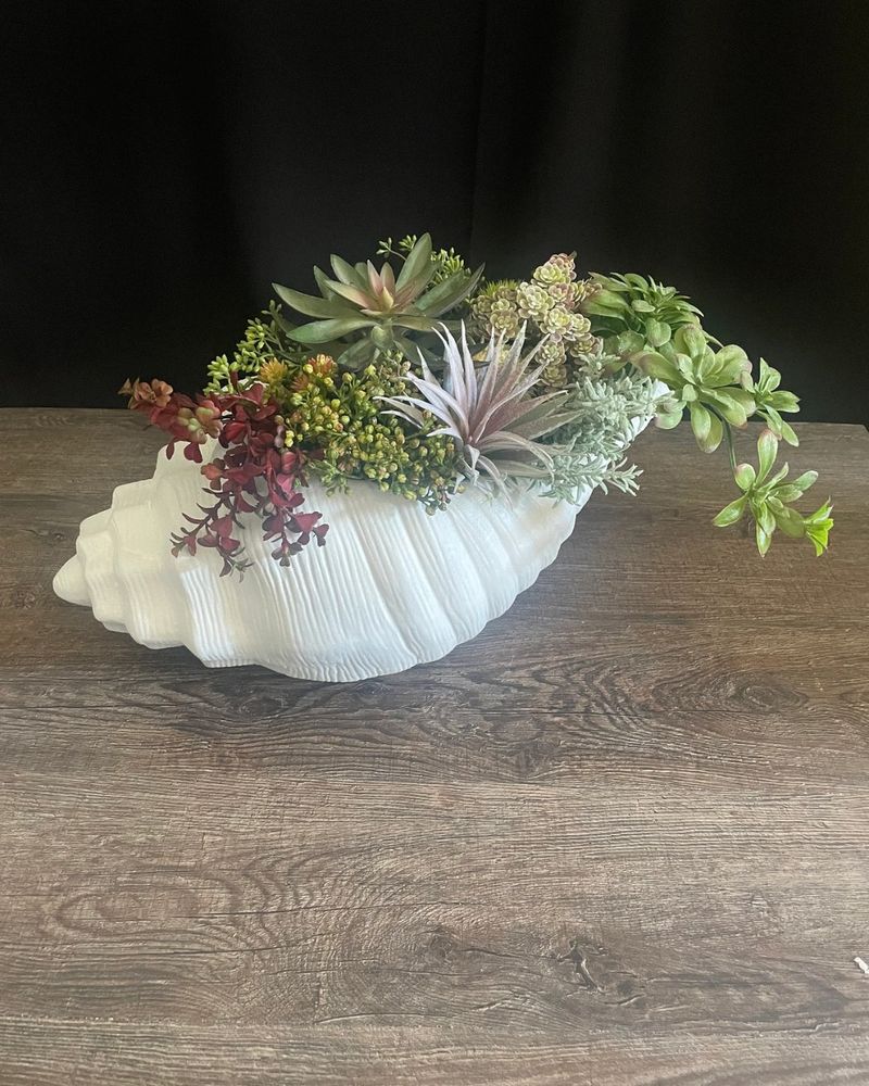 Seashell Planters