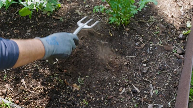 Pre-Wet Your Soil Before Mulching