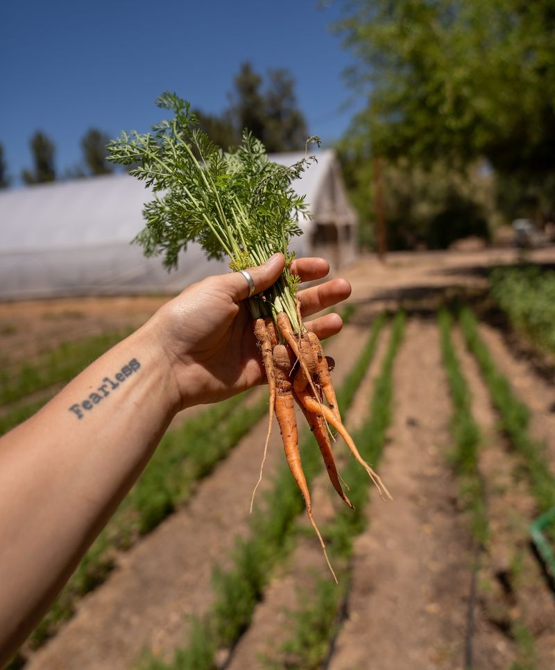 Hand Picking