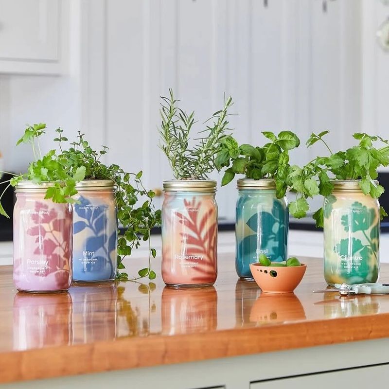 Mason Jar Garden
