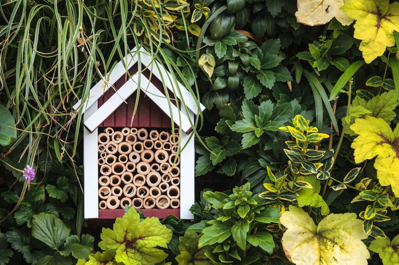 Broken Flower Pots Create Bumblebee Houses