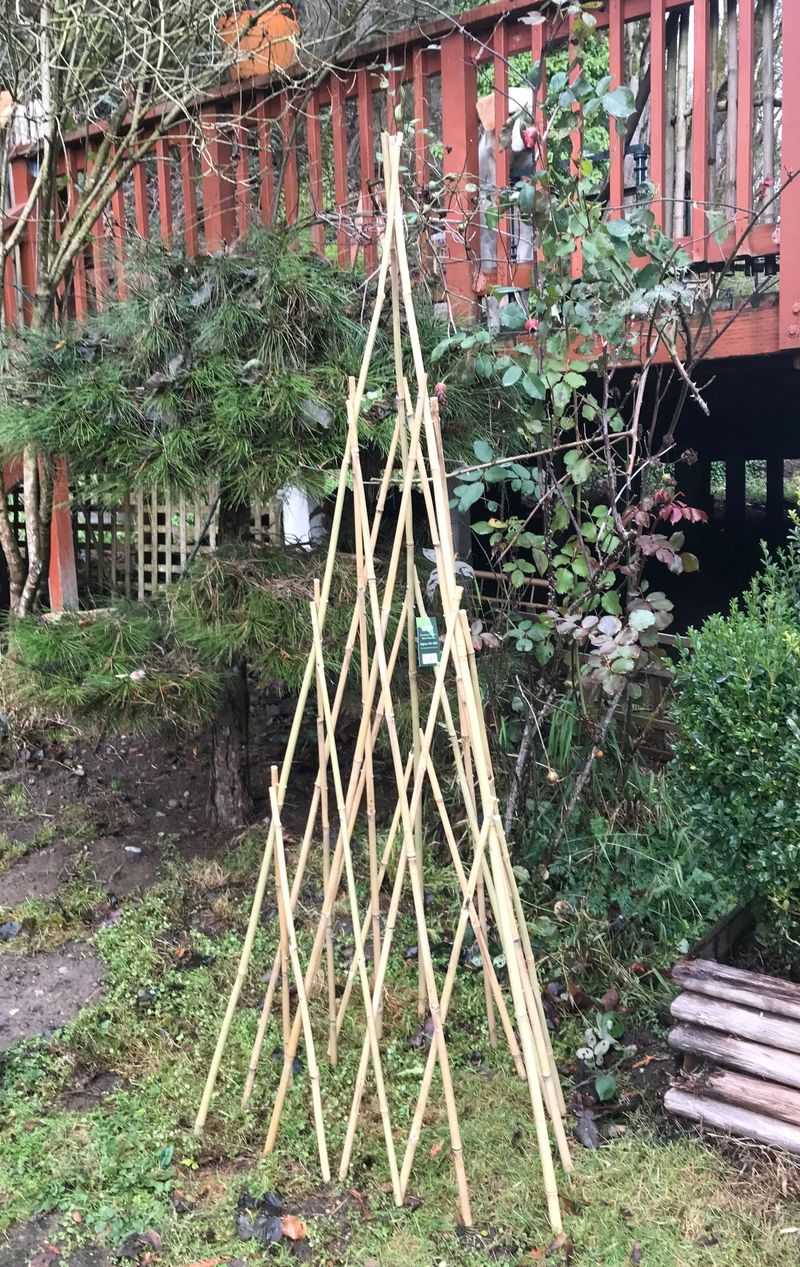 Bamboo Tripod Method