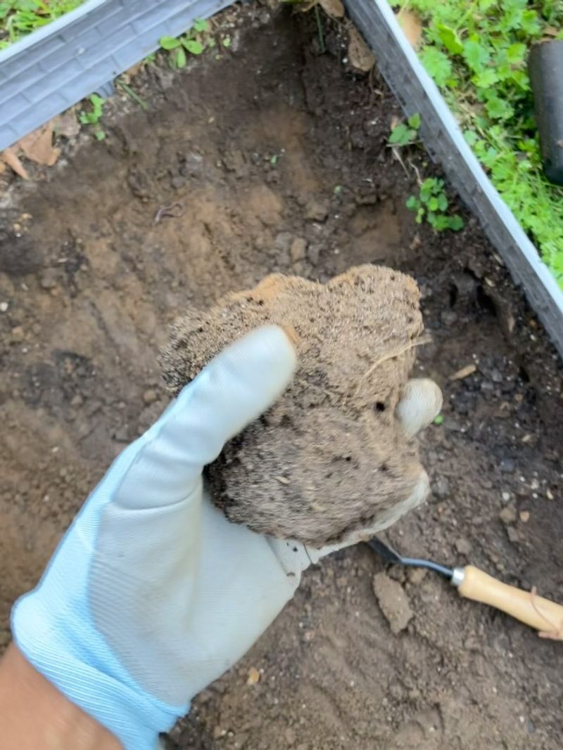 Heavy Clay Soil