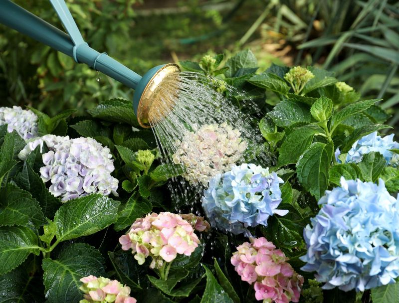 Water Quality Issues