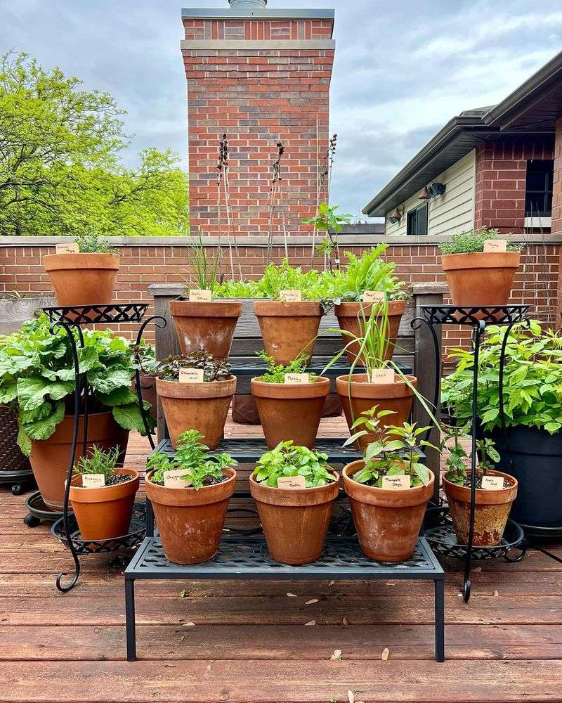 Herb Haven