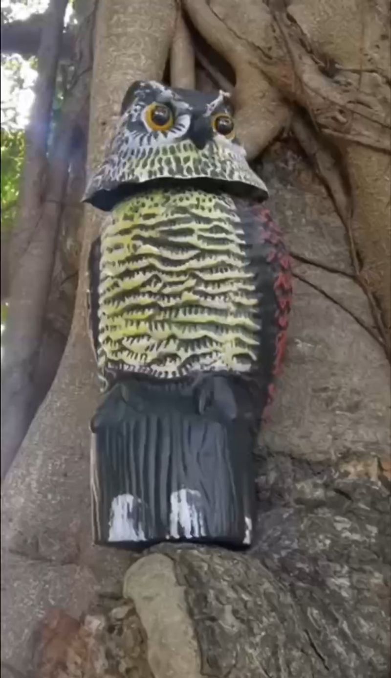 Predator Decoys