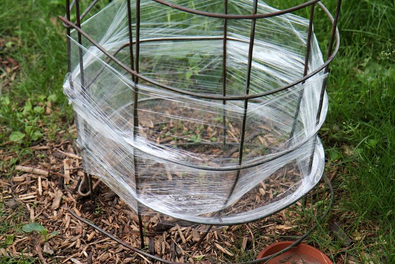 Plastic Wrap Greenhouse