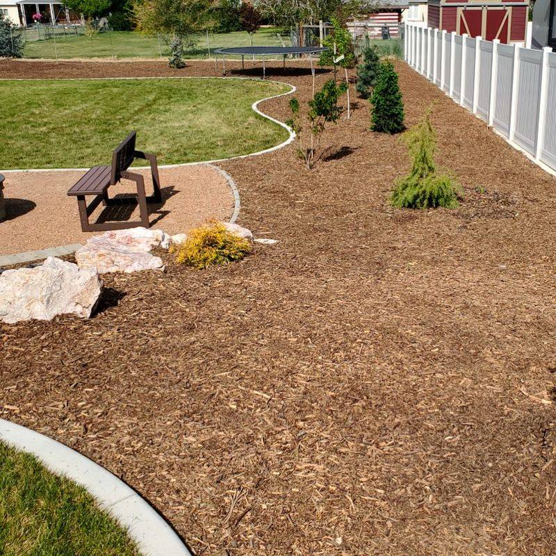 Undersized Plants Lost in Vast Mulch Beds