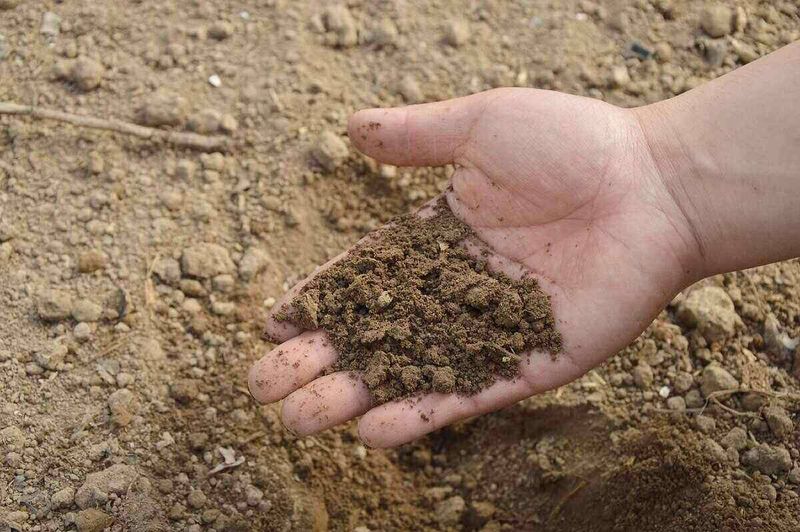 Sand (Improper Types)