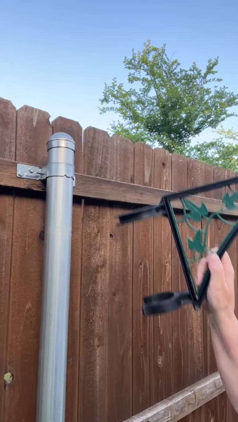 Coyote Rollers