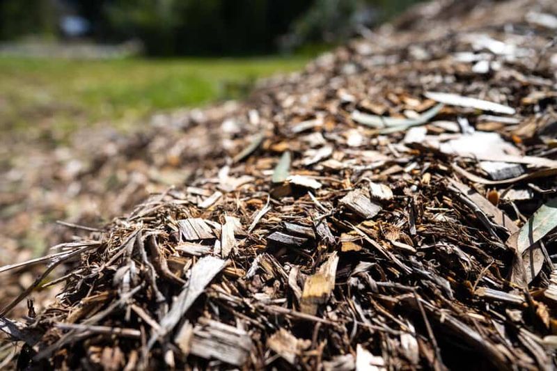 Mulch Piled Against Foundation