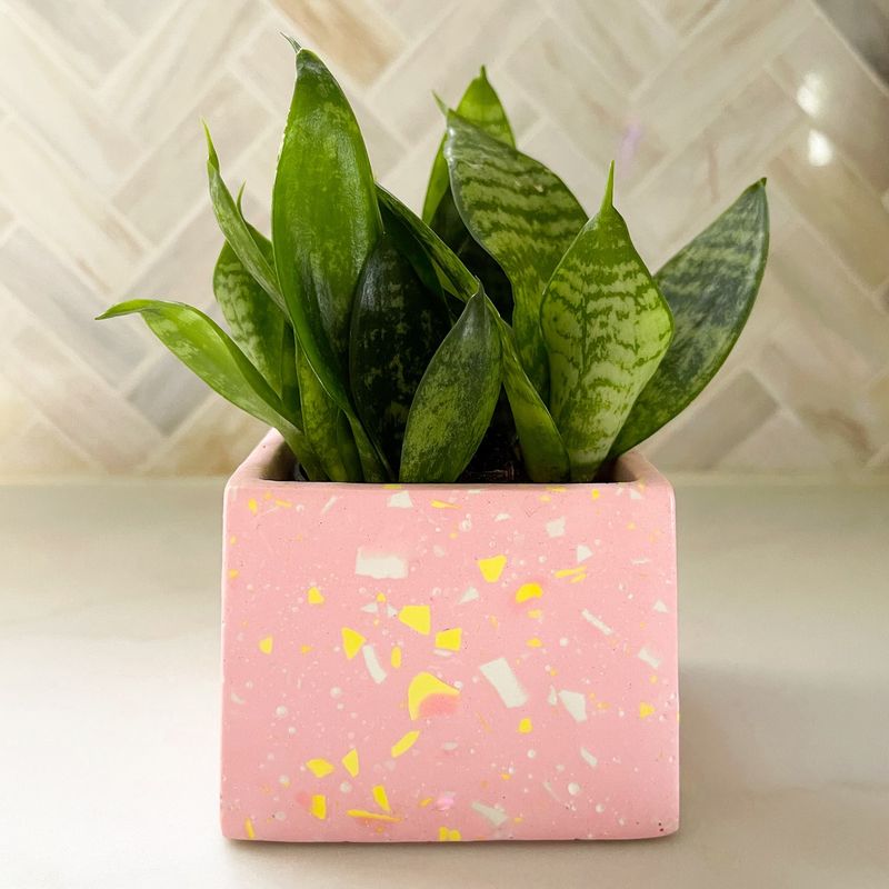 Terrazzo-Style Pots