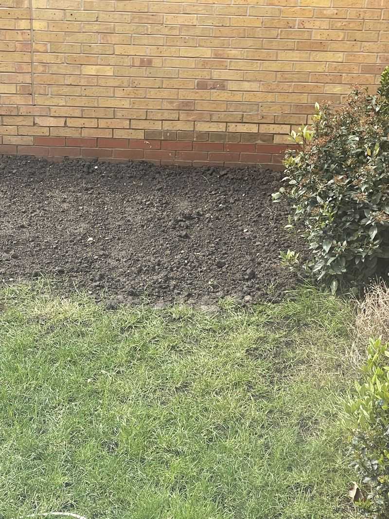 Aerate Compacted Soil