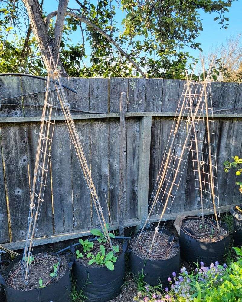 Provide Strong Support Structures