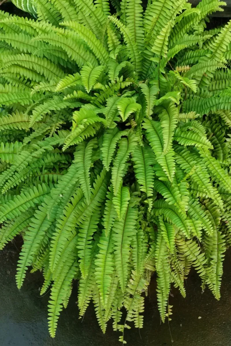 Know When to Repot