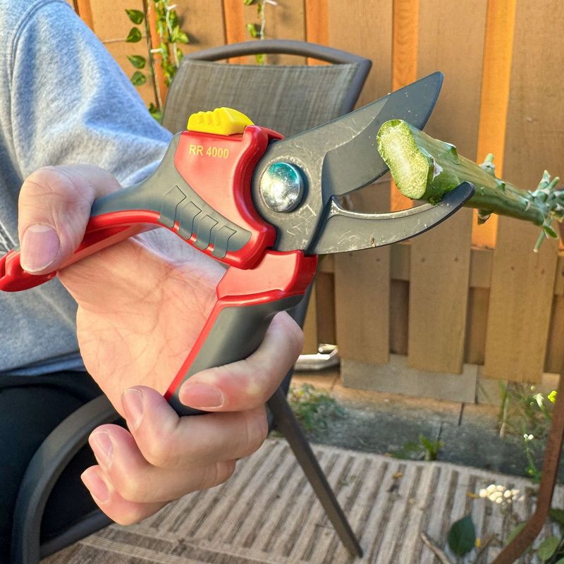 Invest in Quality Pruning Tools